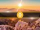 BNB Hits New High, Meme Stocks Soar, ETH ETFs See Inflows: Binance Report