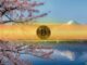 In Japan's First, Remixpoint CEO Salary Fully Shifted to Bitcoin