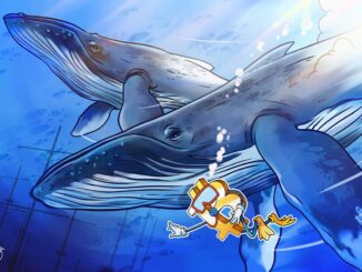 Satoshi-Era Bitcoin Whale Moves Half Its Stack