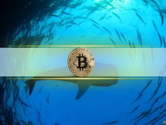 Historical Data Hints at Upward Price Momentum