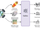 NASA Releases Galileo: The Open-Source Multimodal Model Advancing Earth Observation and Remote Sensing