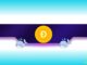 158,000,000 DOGE Bought by Whales – What’s Happening?