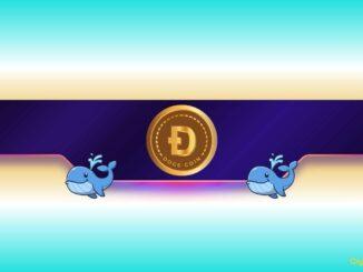 Is Dogecoin Gearing up for Further Rally?