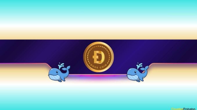 Is Dogecoin Gearing up for Further Rally?