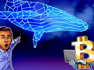 Mystery Whale Opens $163M Bitcoin Short After $192M Profit