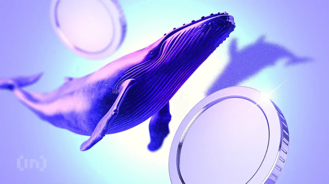 Massive Whale Accumulation Fuels FARTCOIN’s Surprise Rally