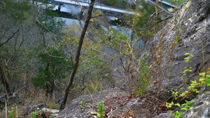 50,000 Copilot licences for Indian service companies