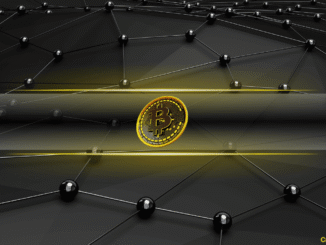 Bitcoin Leverage Flush Wipes Out $8B in Open Interest as Whales Accumulate