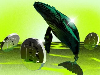 Bitfinex Whale Longs Surge: Signal for Bitcoin?