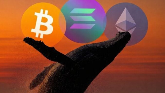 Whale increases leveraged shorts to $169M across BTC, ETH, and SOL