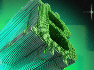 Bitcoin Whales Return as Bull Market Enters Third Phase