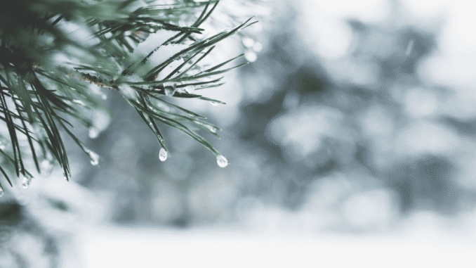 Crypto Trading Activity Hits Yearly Lows as Holiday Lull Freezes Markets