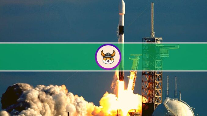 Whales Can't Get Enough of Meme Coins as FLOKI Explodes 950%