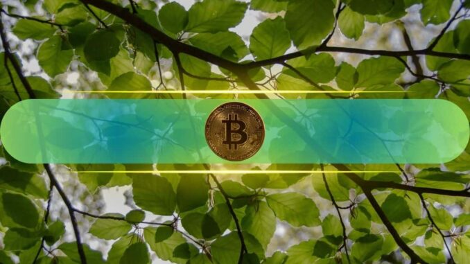 BSC Fees Hit Multi-Month Lows as History Signals Bitcoin Rebound Ahead