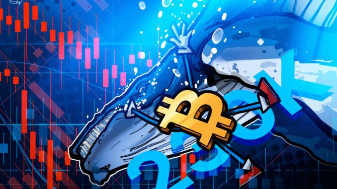 Bitcoin Whales Rebuild Reserves With 236K BTC in 90-days