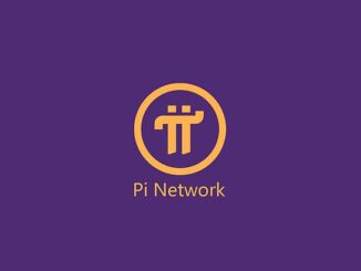 Pi Network mainnet turns one