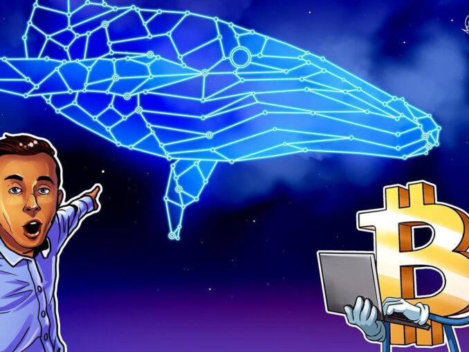 Bitcoin OGs, Ancient Whales Sell Millions in BTC as Iran War Escalates