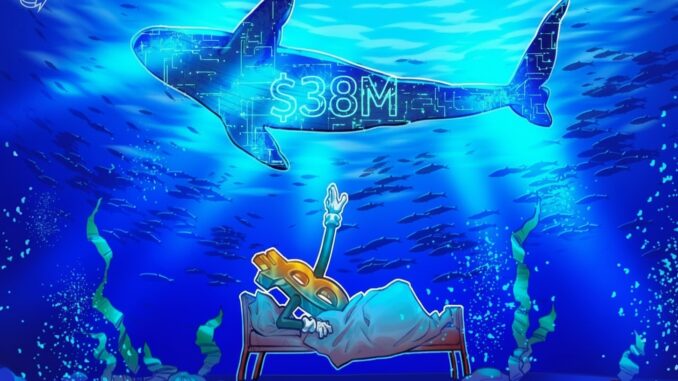 Hyperliquid Whale Shorts Bitcoin, Is A $75K Retest Incoming