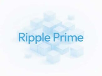 Ripple Prime earns BBB rating from Kroll, reflecting robust capital support and early profitability