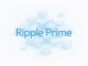 Ripple Prime earns BBB rating from Kroll, reflecting robust capital support and early profitability